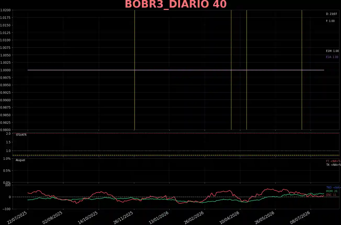 BOBR3_DIARIO