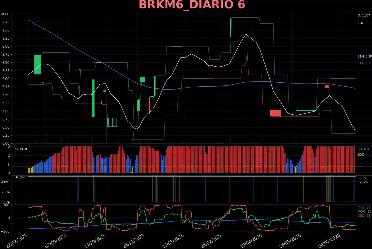 BRKM6_DIARIO