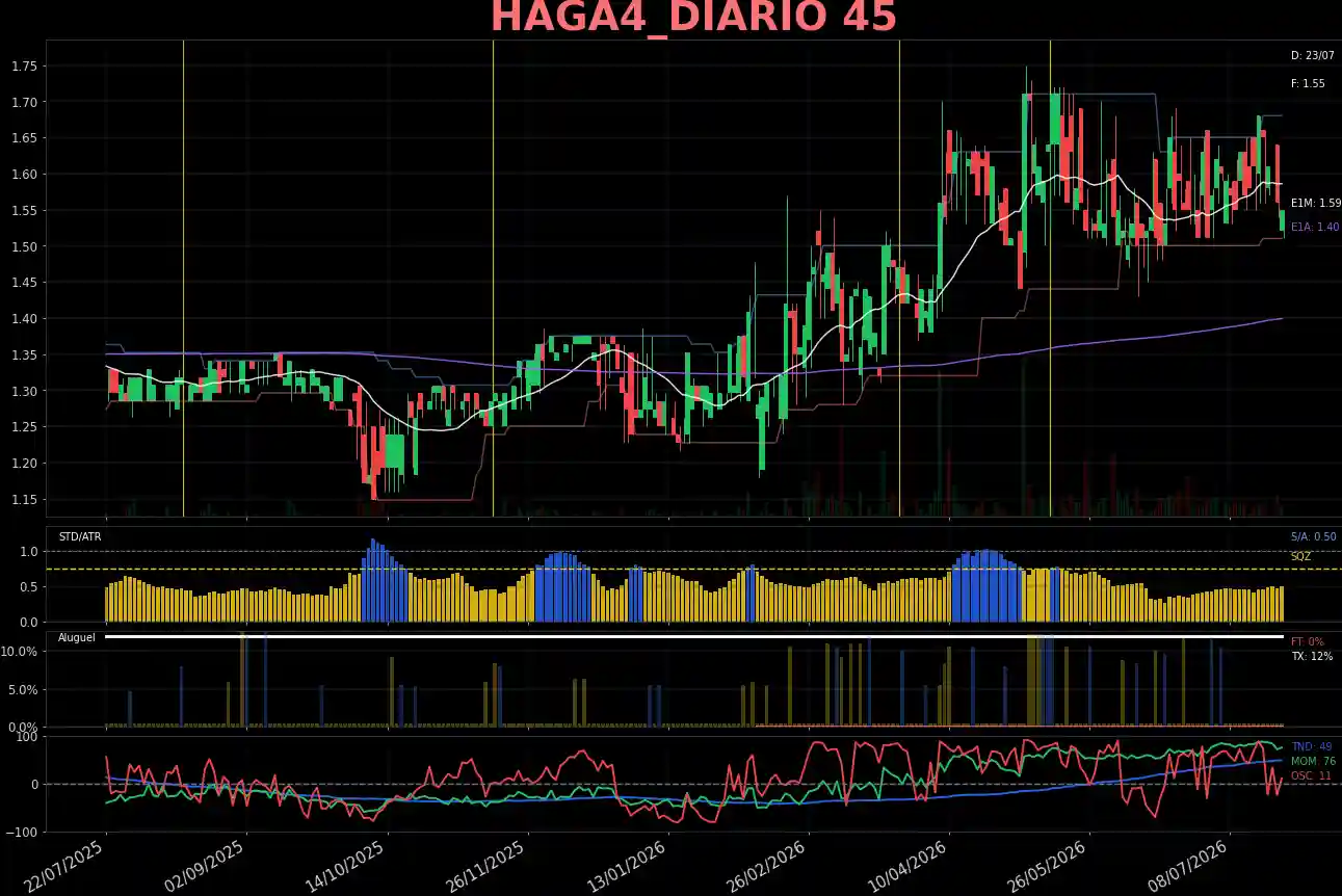 HAGA4_DIARIO